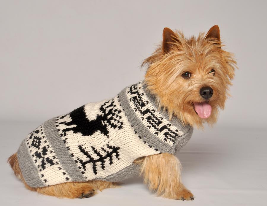 sweater for dogs reindeer shawl chilly sweaters sweater for dogs reindeer shawl chilly sweaters