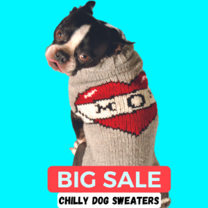 boston terrierdog wearing a tattoo mom wool dog sweater with a red heart and a big  sale banner