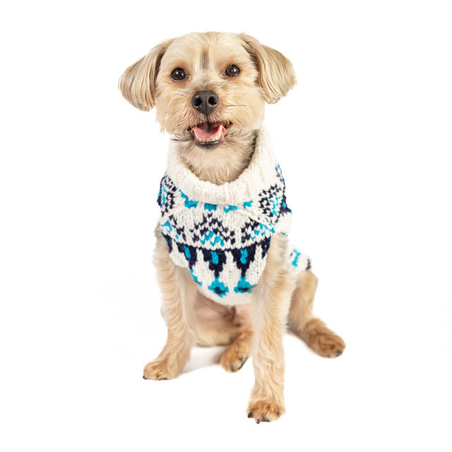 small dog wearing white and turquoise wool dog sweater