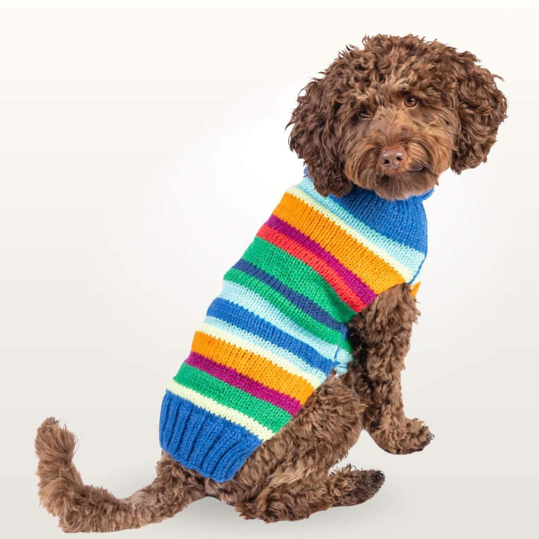 Handcrafted Wool Dog Sweaters Outshine the Rest