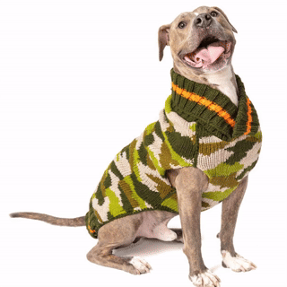 Best Dog Sweaters for Pit Bulls: Warm Winter Clothing for Short-Haired, Broad-Chested Dogs