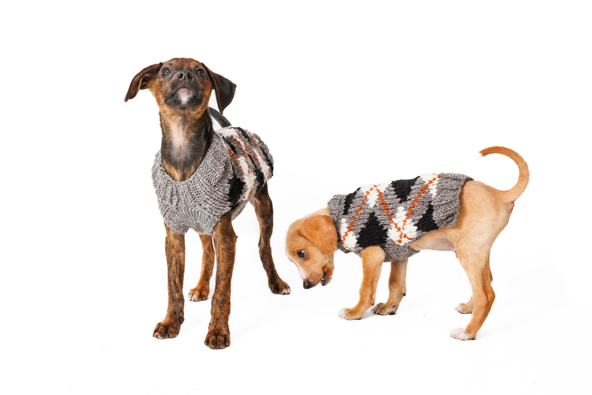 two young puppies wearing grey argyle wool dog sweaters on a white background