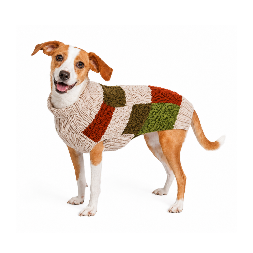 small hound dog wearing patchwork wool dog sweater