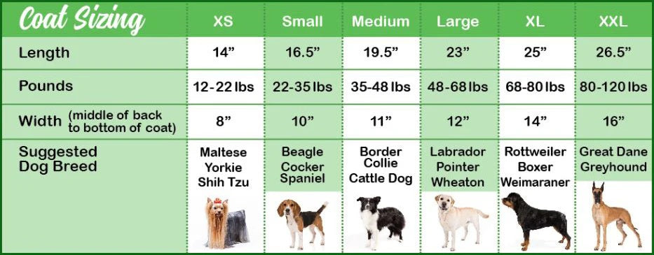 How to Measure Your Dog for the Perfect Sweater Fit