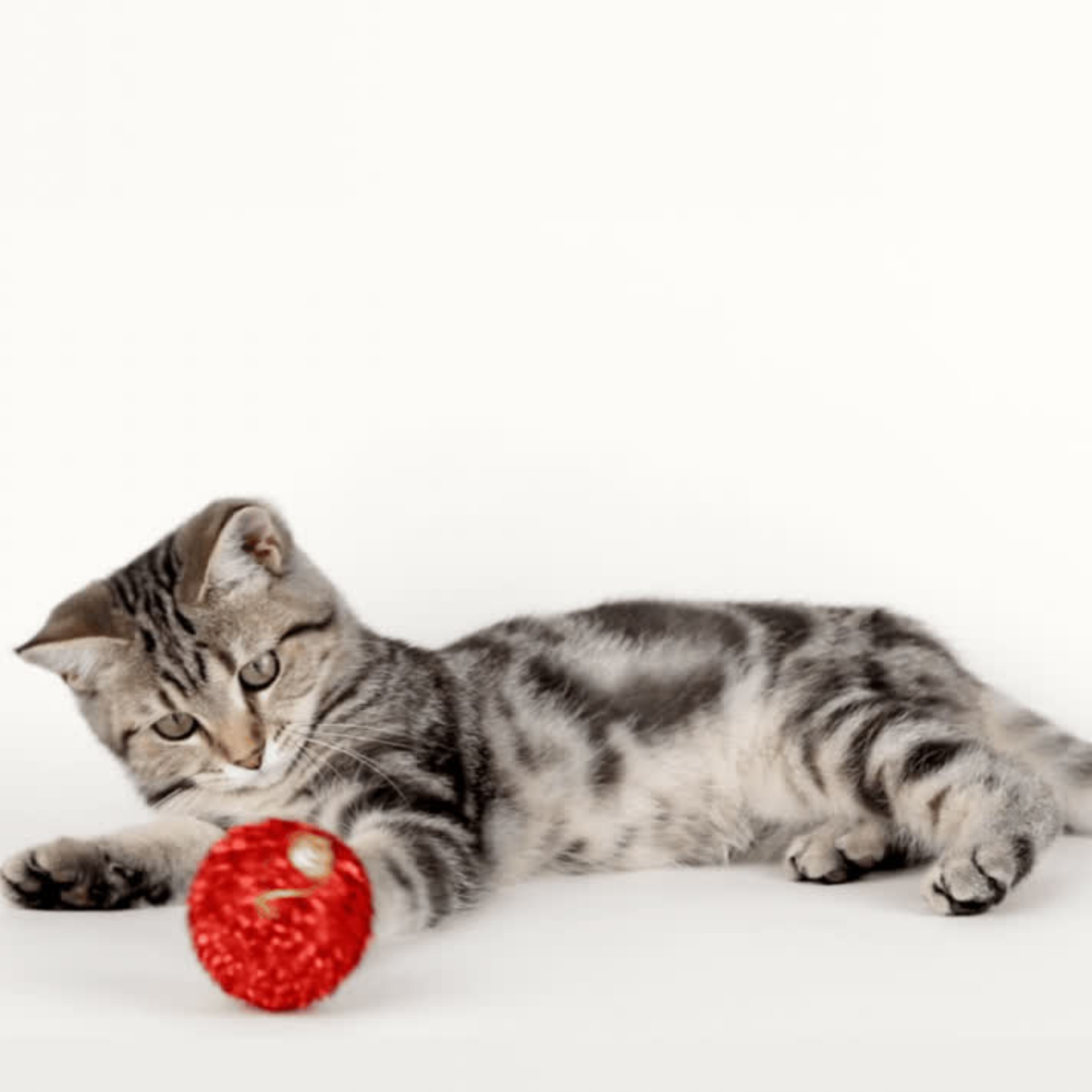 Christmas Tree Cat Ornaments