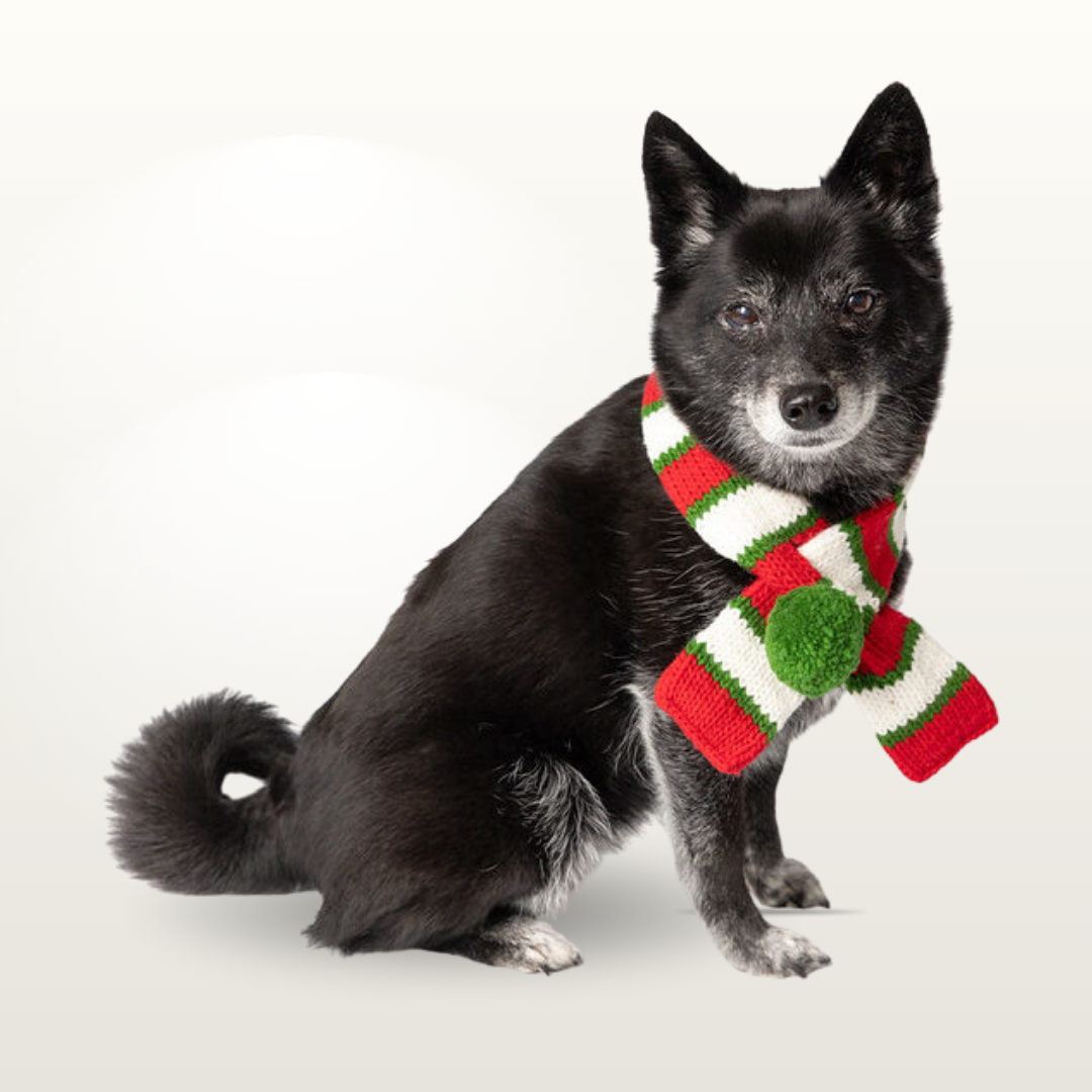 Chilly Dog Scarves