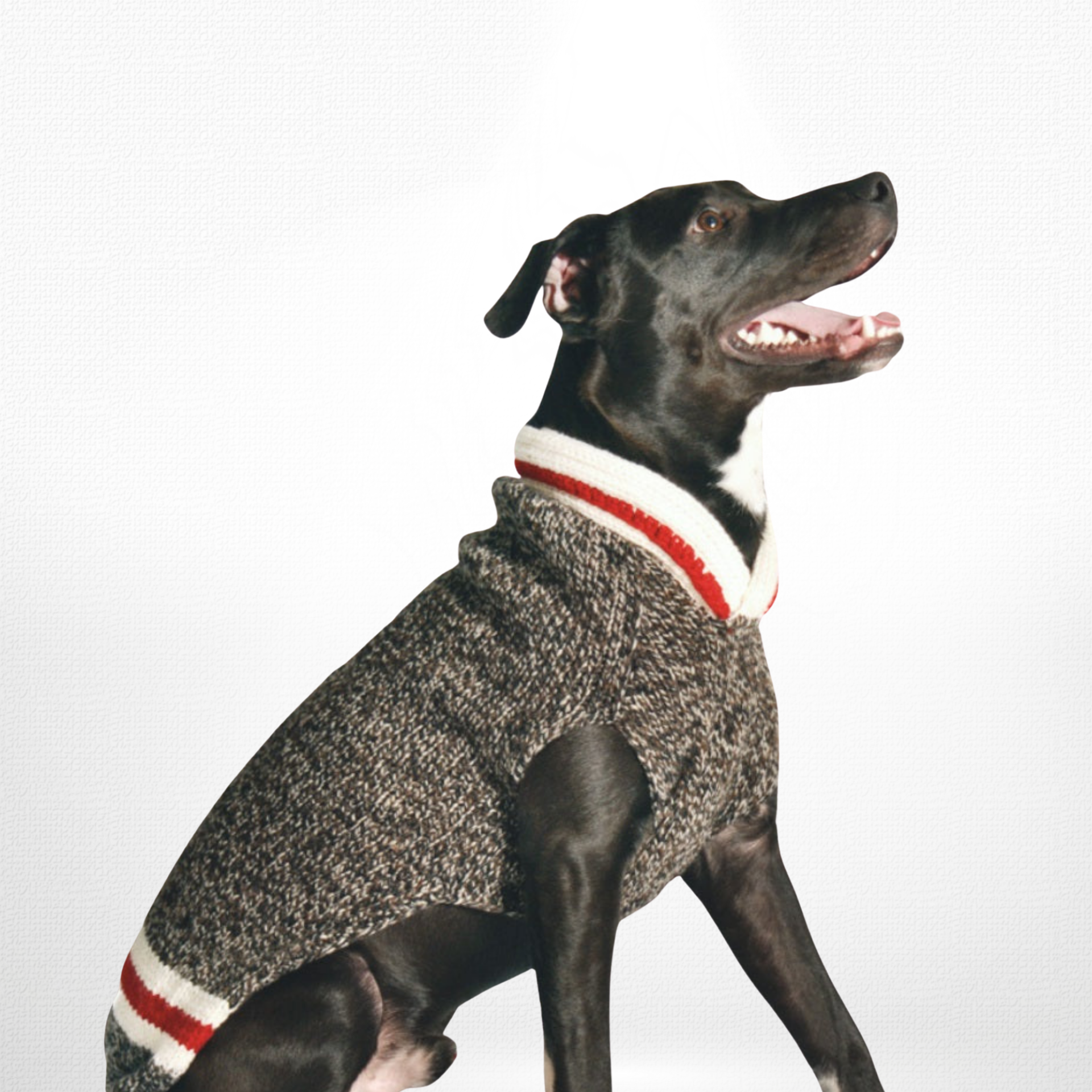 Hand Knit Dog Sweaters