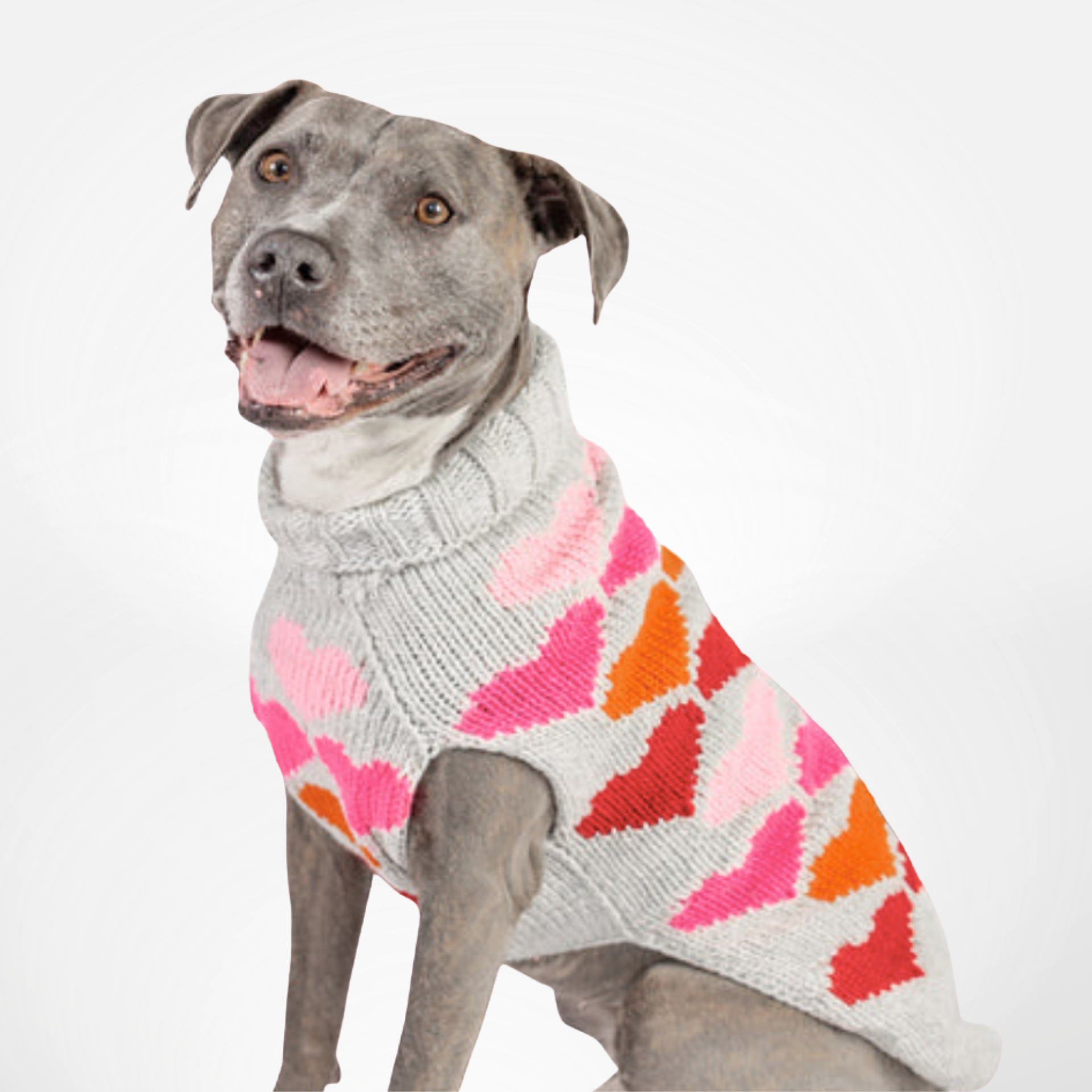 New Pet Apparel Collection