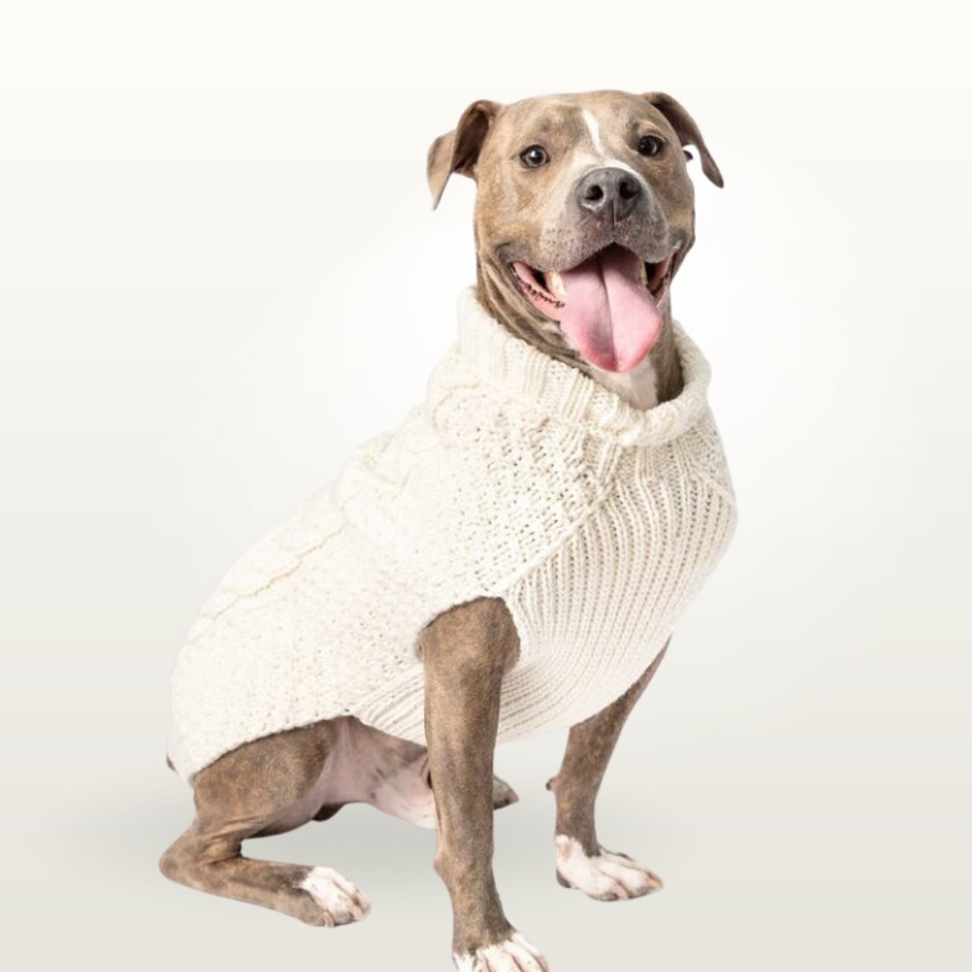 Cable Knits Dog Sweaters