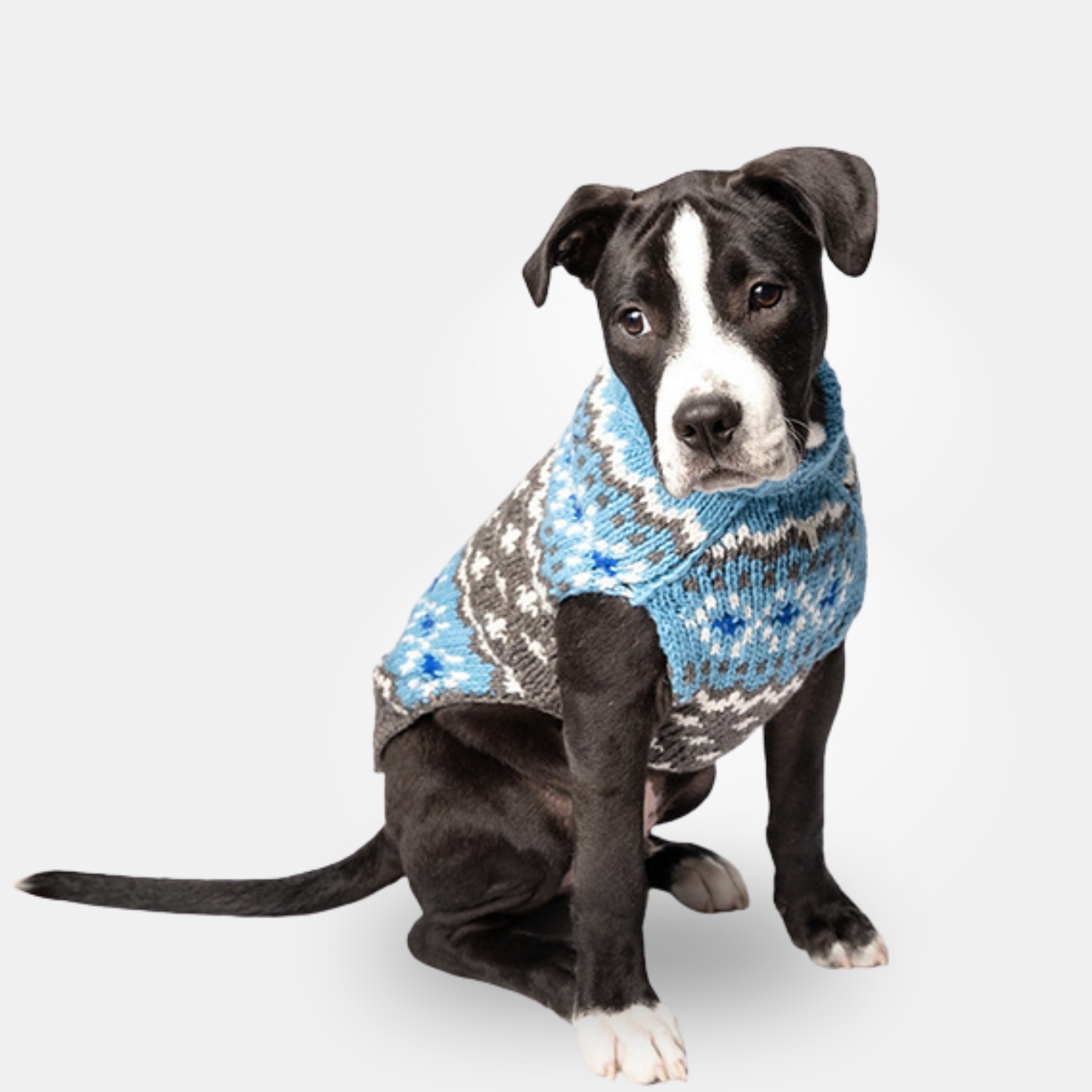 Apres Ski Dog Sweaters