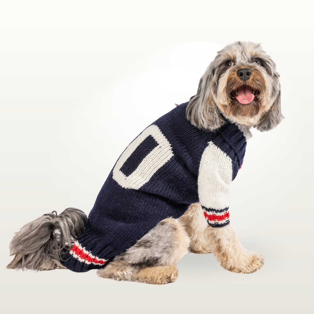 Collegiate Varsity Chilly Dog Sweater