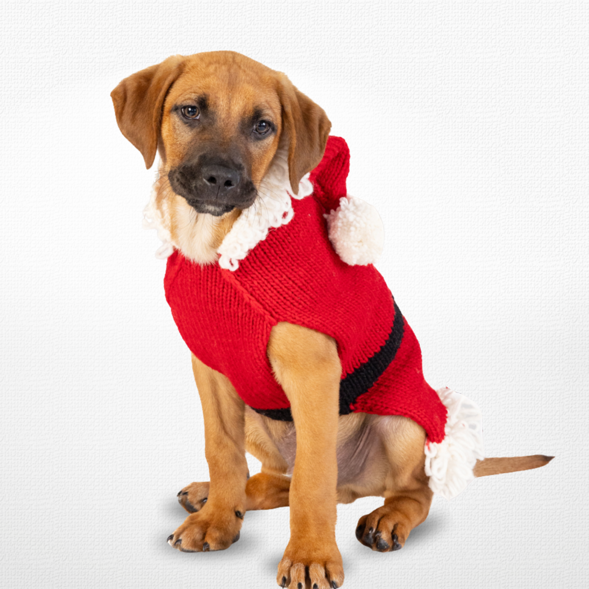 Santa Holiday Gifts