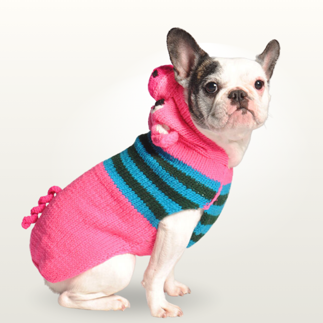 Dog Sweater Characters