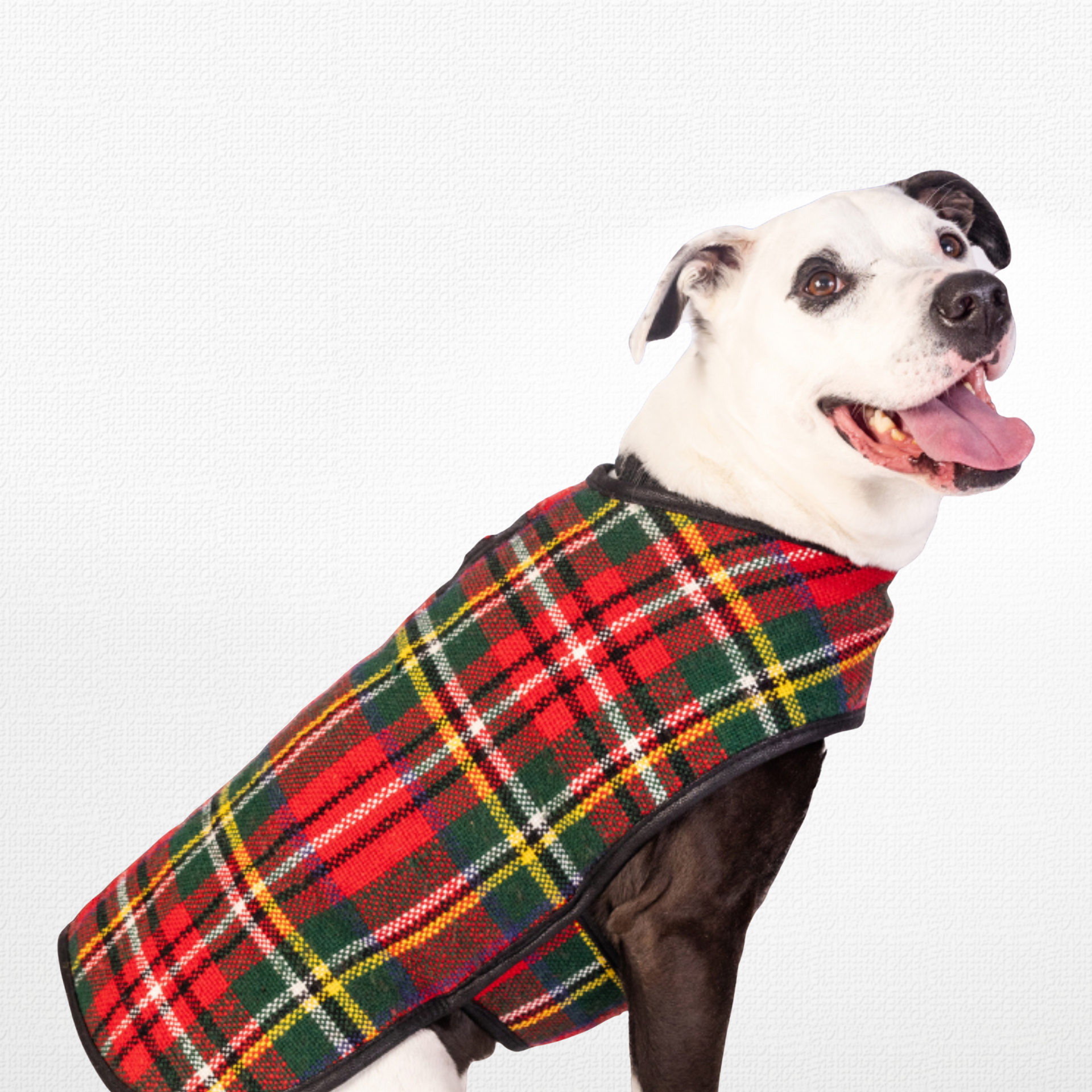 Chilly Dog Coats Collection