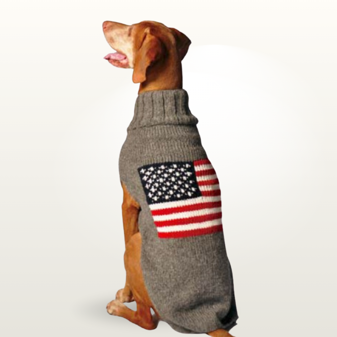 Flag Dog Sweater
