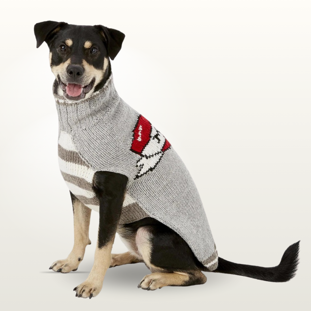 Novelty Dog Sweater Collection