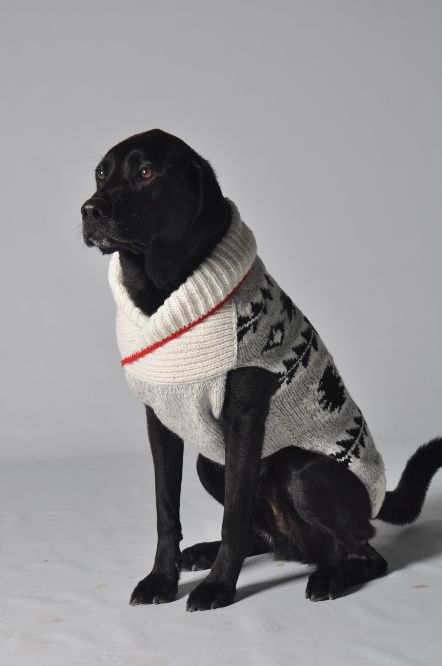 Jackson Dog Sweater 19-05-09 D1-296 CD Sweaters