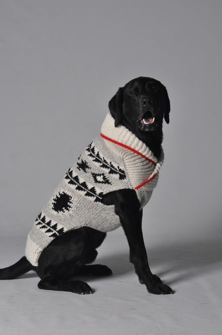Jackson Dog Sweater 19-05-09 D1-305 CD Sweaters