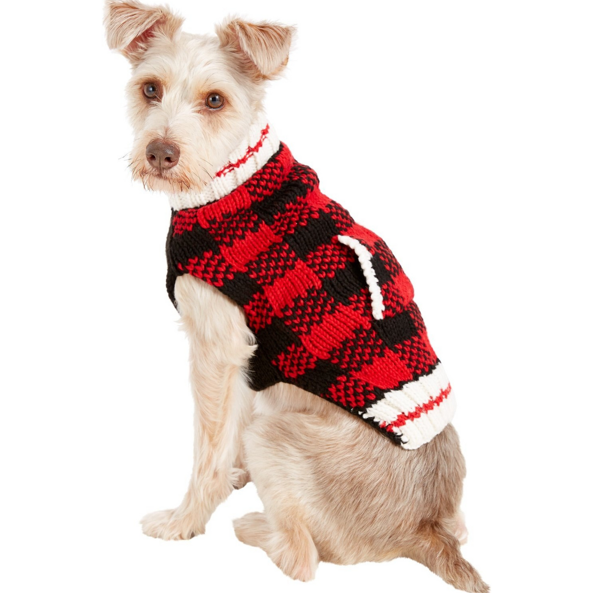 Dog wearing a red and black checkered sweater on a white background