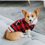 Dog wearing a red and black checkered sweater sitting on a gray cushion.