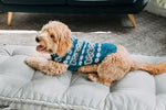 Alpaca Teal Fairisle Dog Sweater