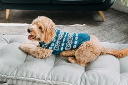 Alpaca Teal Fairisle Dog Sweater