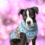 light-blue-fairisle-wool-dog-sweater-puppy-600x600