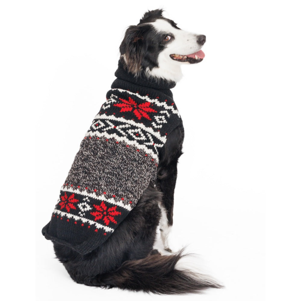 Dog wearing a black and gray patterned sweater on a white background