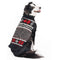 Dog wearing a black and gray patterned sweater on a white background