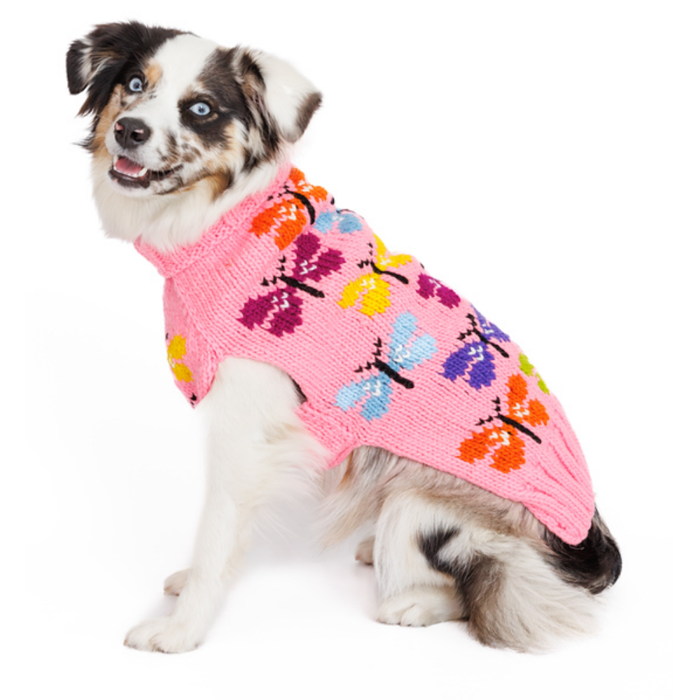 Dog wearing a pink sweater with colorful butterfly patterns on a white background