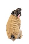 Camel Alpaca Cable Knit Dog Sweater - product back