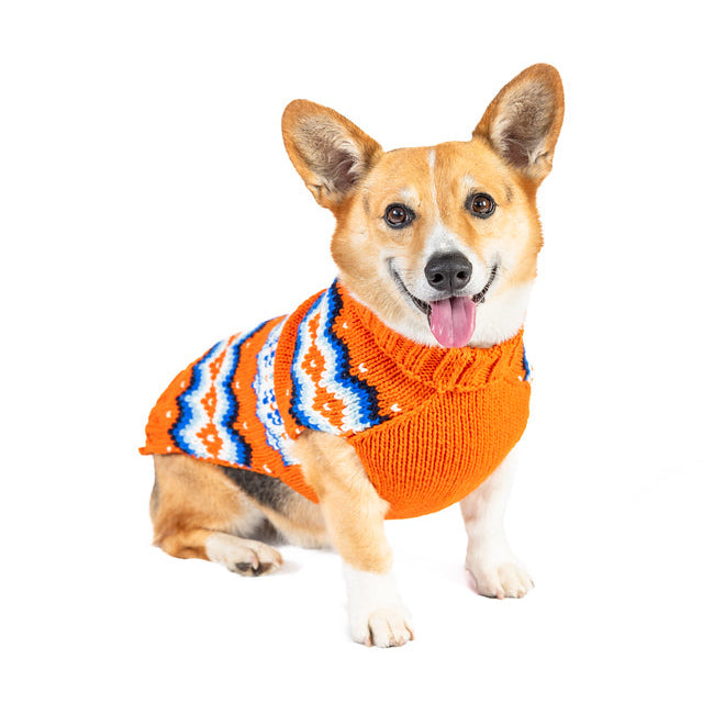 Dog wearing an orange sweater with a white background
