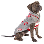 Dog wearing a gray sweater with red accents on a white background