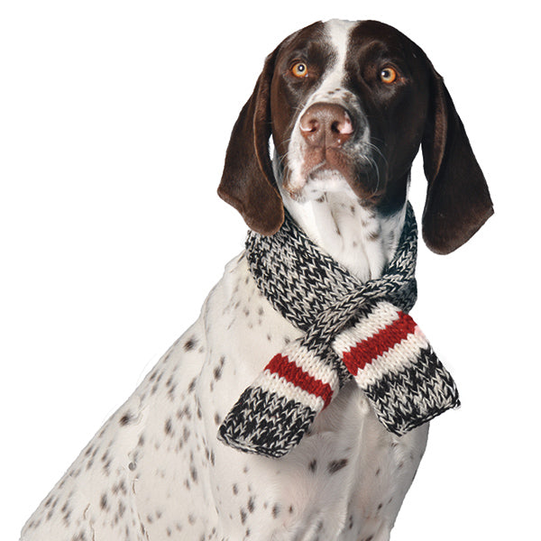 Chilly-Dog-Boyfriend-Scarf