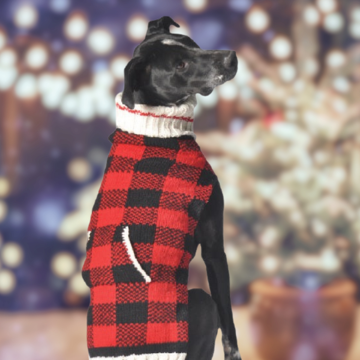 BUFFALO PLAID dog sweater