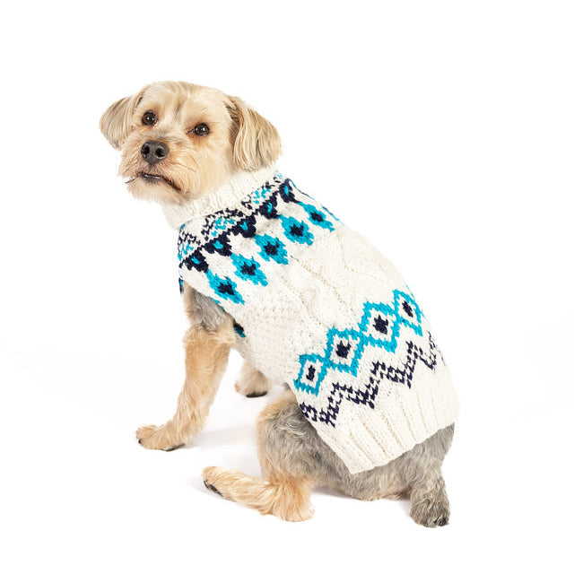 Dog wearing a white sweater with blue floral patterns on a white background