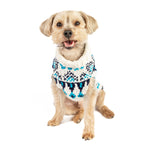 Dog wearing a patterned sweater on a white background