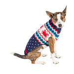 Dog wearing a colorful sweater on a white background