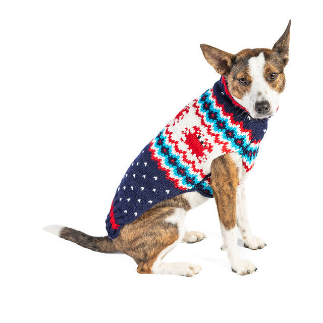 Dog wearing a colorful sweater on a white background