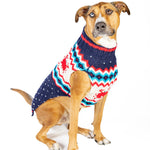 Dog wearing a colorful sweater on a white background