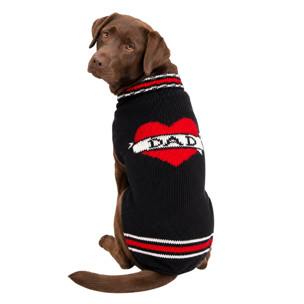 Dad wool Dog Sweater