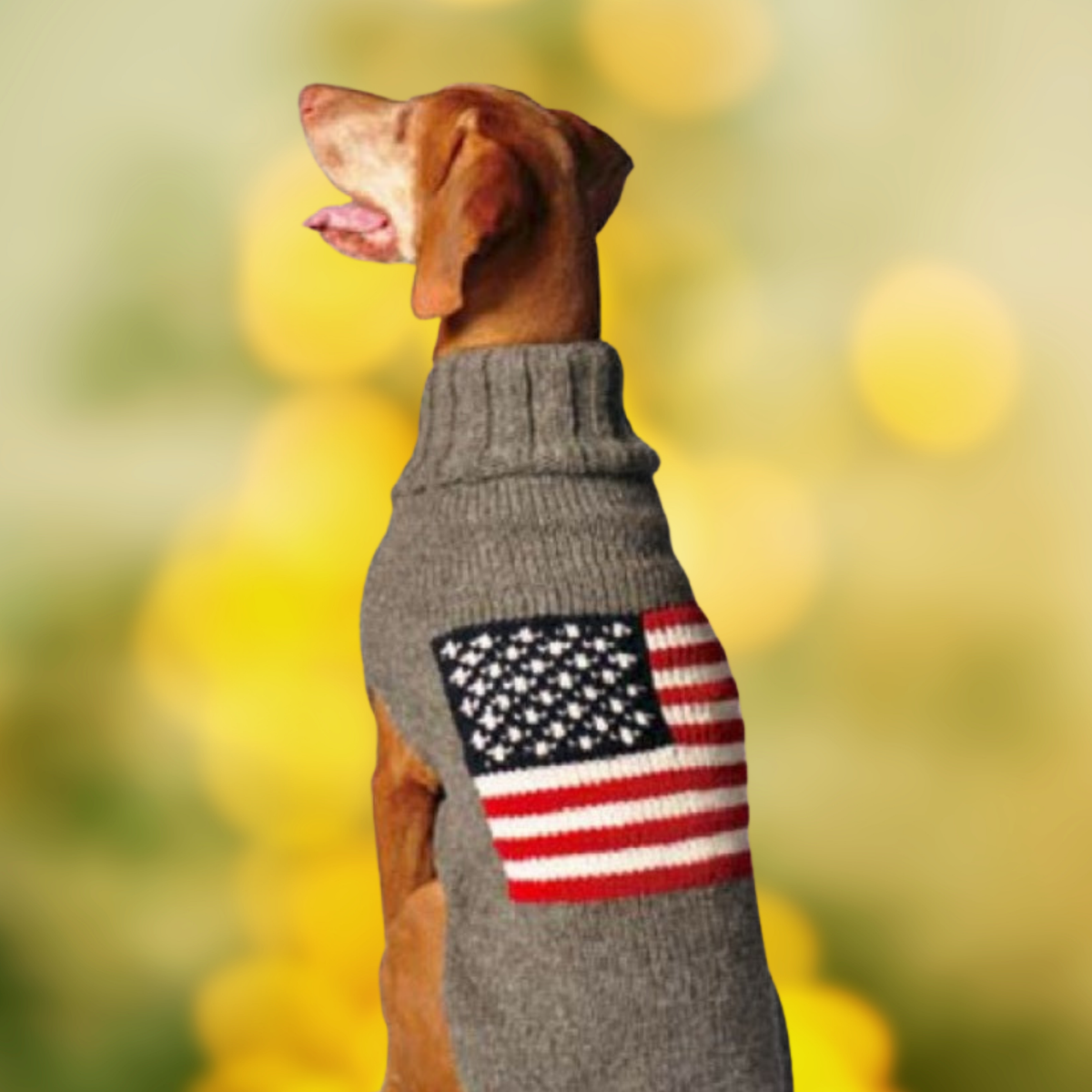 American Flag dog sweater