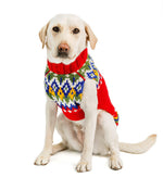 Dog wearing a colorful sweater on a white background