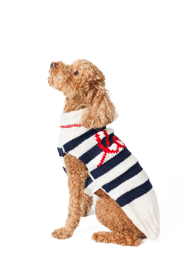 Dog wearing a striped sweater with a red emblem on a white background