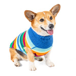 Dog wearing a colorful striped sweater on a white background