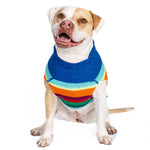 Dog wearing a colorful striped sweater on a white background