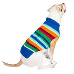 Dog wearing a colorful striped sweater on a white background