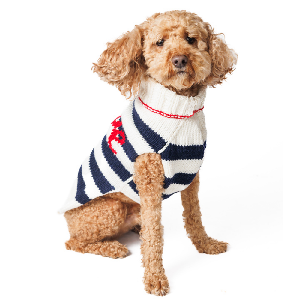 Dog wearing a striped sweater with a red bow tie on a white background