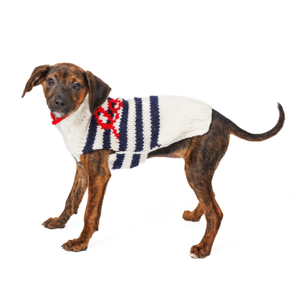 Dog wearing a sweater with a red and blue pattern on a white background