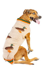 Dog wearing a sweater with duck designs on a white background